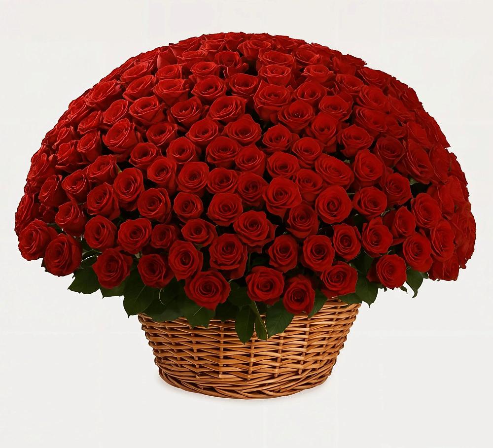 251 Премиум красная роза в Верхнем Ландехе Премиум букет из: Розы в Верхнем Ландехе